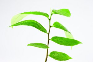 API经济完全解读：从入门到精通